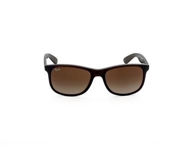 RAY-BAN 4202 607313 55 Unisex Güneş Gözlüğü