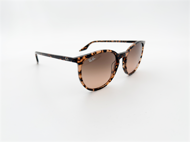 RAY-BAN 2204 14293B 54 Unisex Güneş Gözlüğü