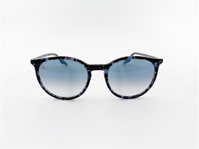RAY-BAN 2204 14303F 54 Erkek Güneş Gözlüğü