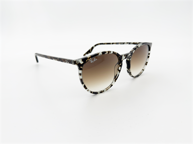 RAY-BAN 2204 143151 54 Unisex Güneş Gözlüğü