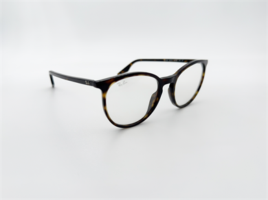 RAY-BAN 2204 902/GJ 54 Erkek Güneş Gözlüğü