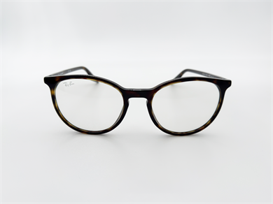 RAY-BAN 2204 902/GJ 54 Erkek Güneş Gözlüğü