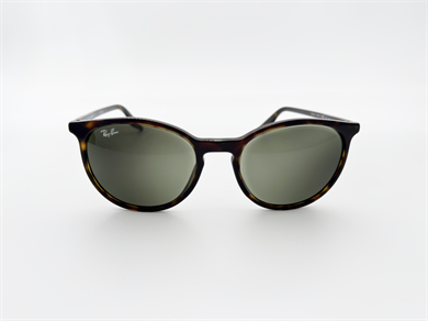RAY-BAN 2204 902/GJ 54 Erkek Güneş Gözlüğü