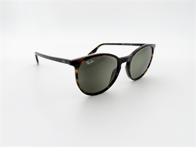 RAY-BAN 2204 902/GJ 54 Erkek Güneş Gözlüğü