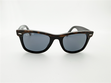 RAY-BAN 2240 1441R5 50 Unisex Güneş Gözlüğü