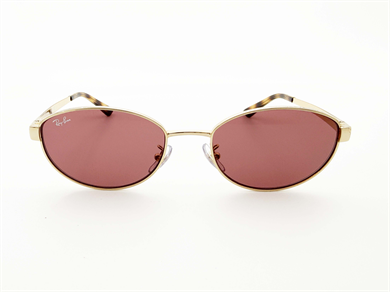 RAY-BAN 3774D 001/69 55 Kadın Güneş Gözlüğü