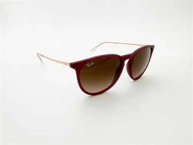 RAY-BAN 4171 6815A5 54 Unisex Güneş Gözlüğü