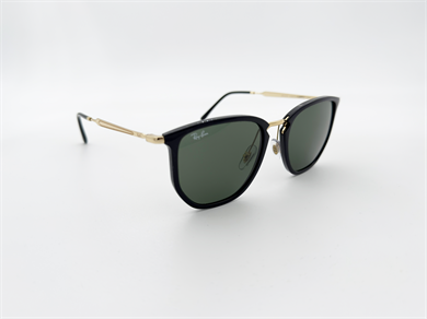 RAY-BAN 4451 630631 53 Erkek Güneş Gözlüğü