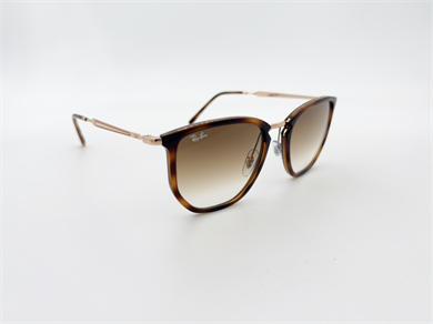 RAY-BAN 4451 680451 53 Erkek Güneş Gözlüğü
