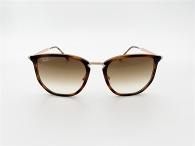 RAY-BAN 4451 680451 53 Erkek Güneş Gözlüğü