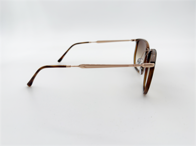 RAY-BAN 4451 680451 53 Erkek Güneş Gözlüğü