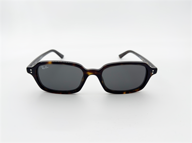 RAY-BAN 4455 135987 52 Unisex Güneş Gözlüğü