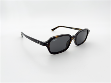 RAY-BAN 4455 135987 52 Unisex Güneş Gözlüğü