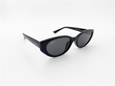 RAY-BAN 4457D 667787 55 Kadın Güneş Gözlüğü