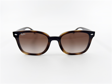 RAY-BAN 4461D 710/13 64 Unisex Güneş Gözlüğü