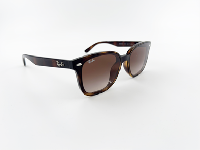 RAY-BAN 4461D 710/13 64 Unisex Güneş Gözlüğü