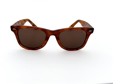 SLAZENGER SZ 6761 04 Unisex Güneş Gözlüğü