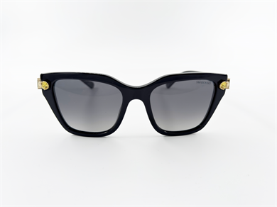 SWAROVSKI 6041 1001T3 53 Kadın Güneş Gözlüğü