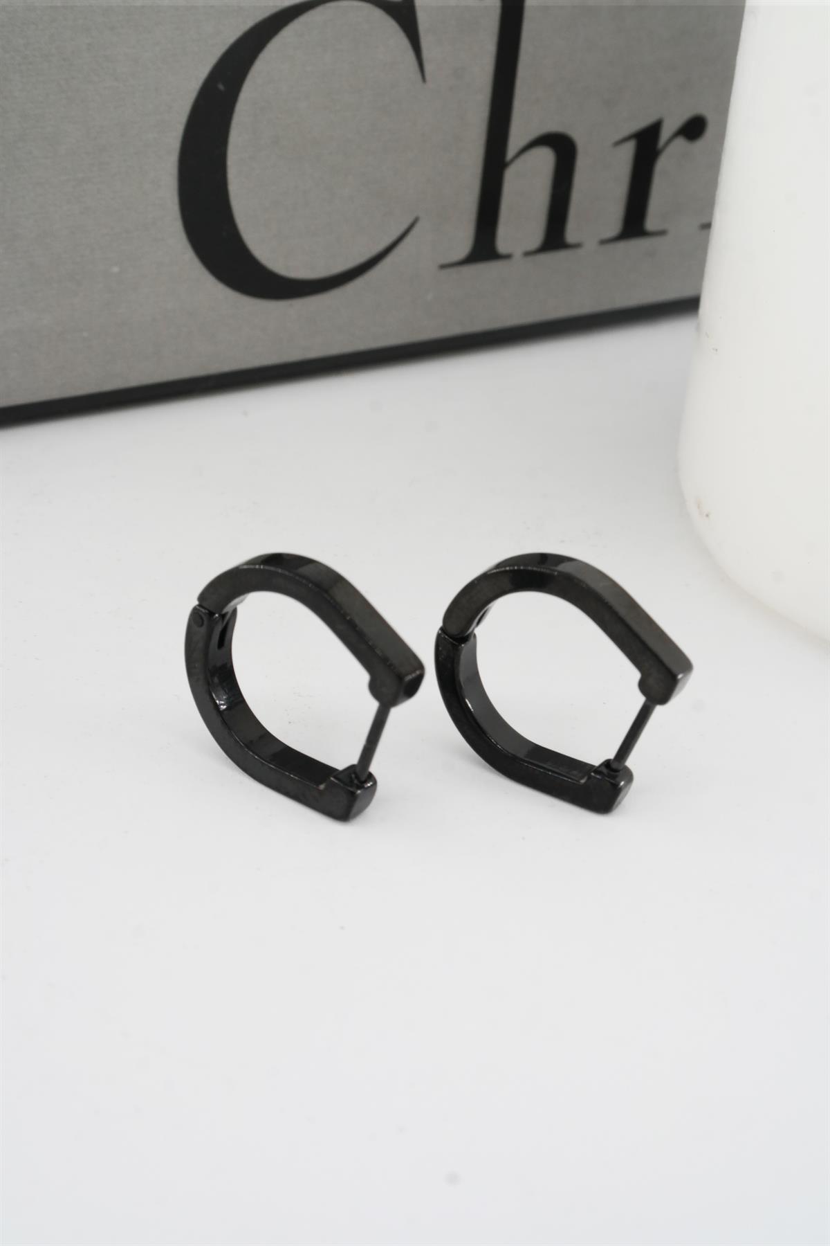 Kadın 316 L Paslanmaz Çelik 1.8 cm Oval Model Küpe