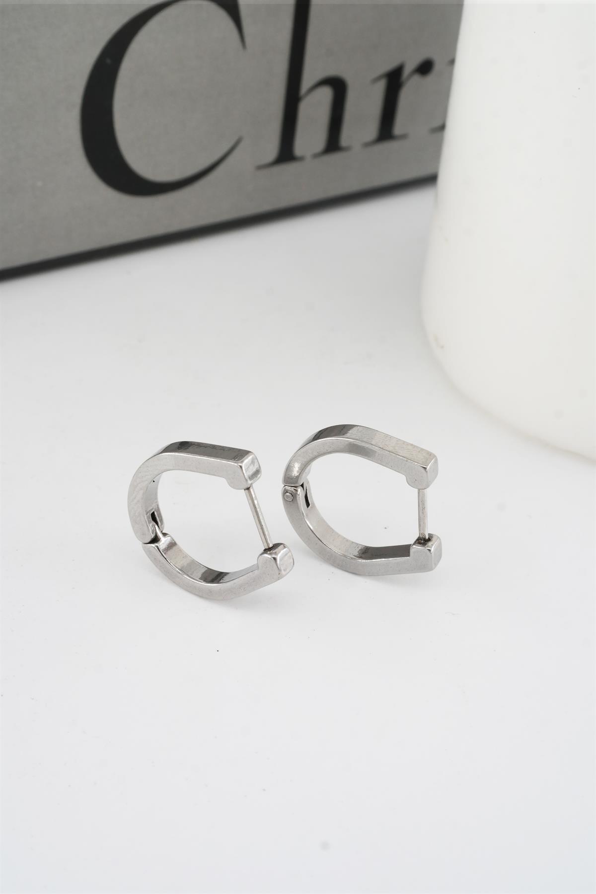 Kadın 316 L Paslanmaz Çelik 1.8 cm Oval Model Küpe
