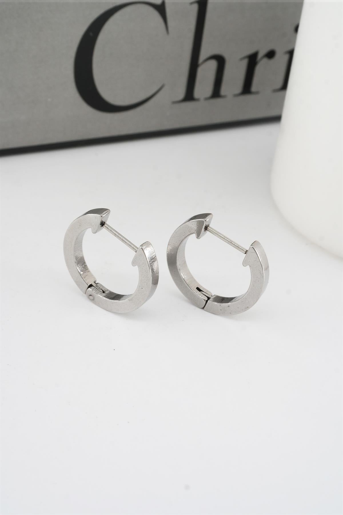 Kadın 316 L Paslanmaz Çelik 2 cm Oval Model Küpe