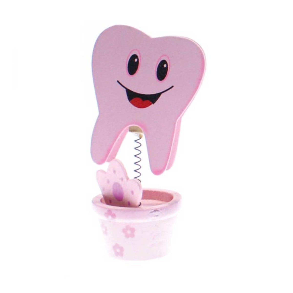 Diş Buğdayı Pembe Notluk 6 Adet