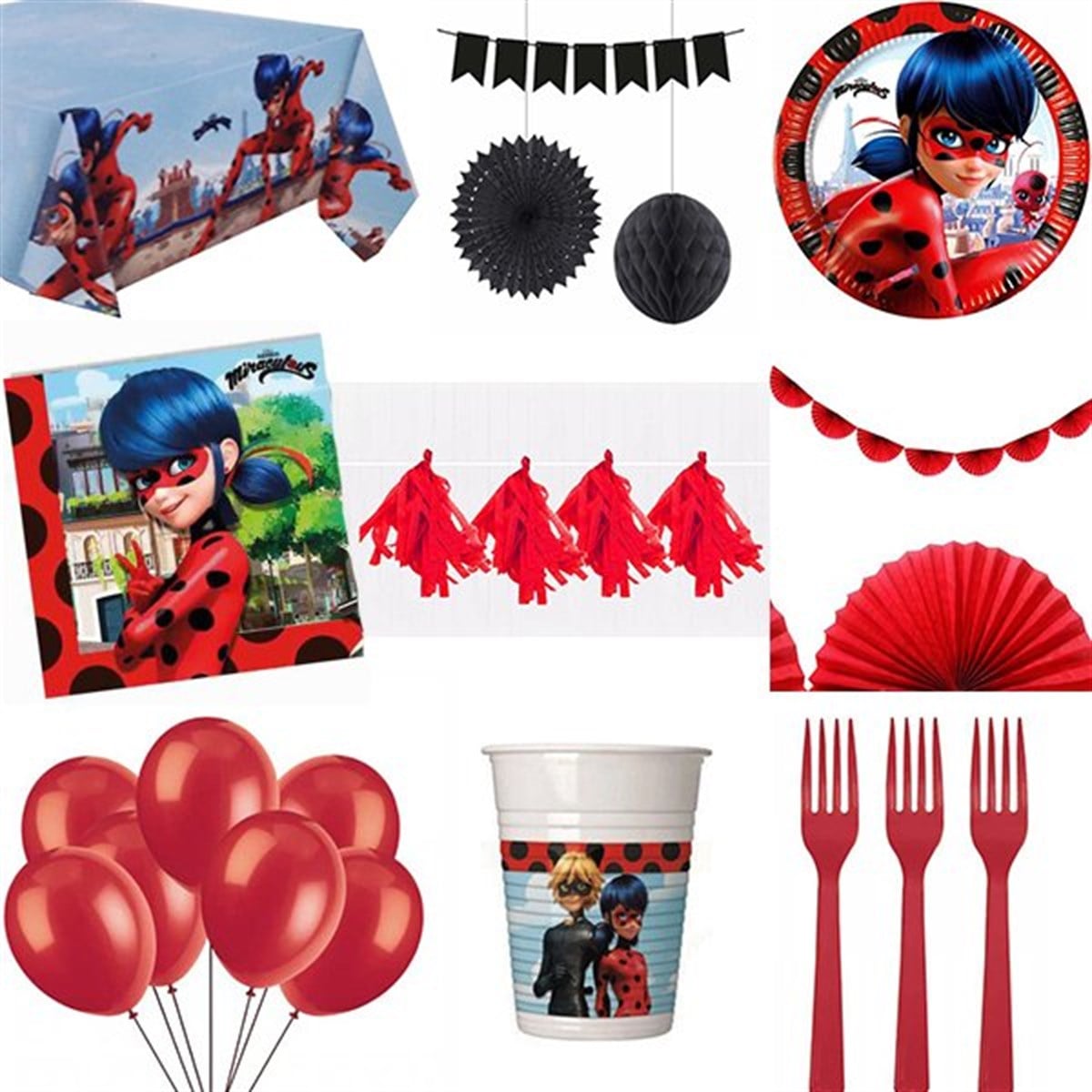 Mucize Uğur Böceği Parti Set 16 Kişilik