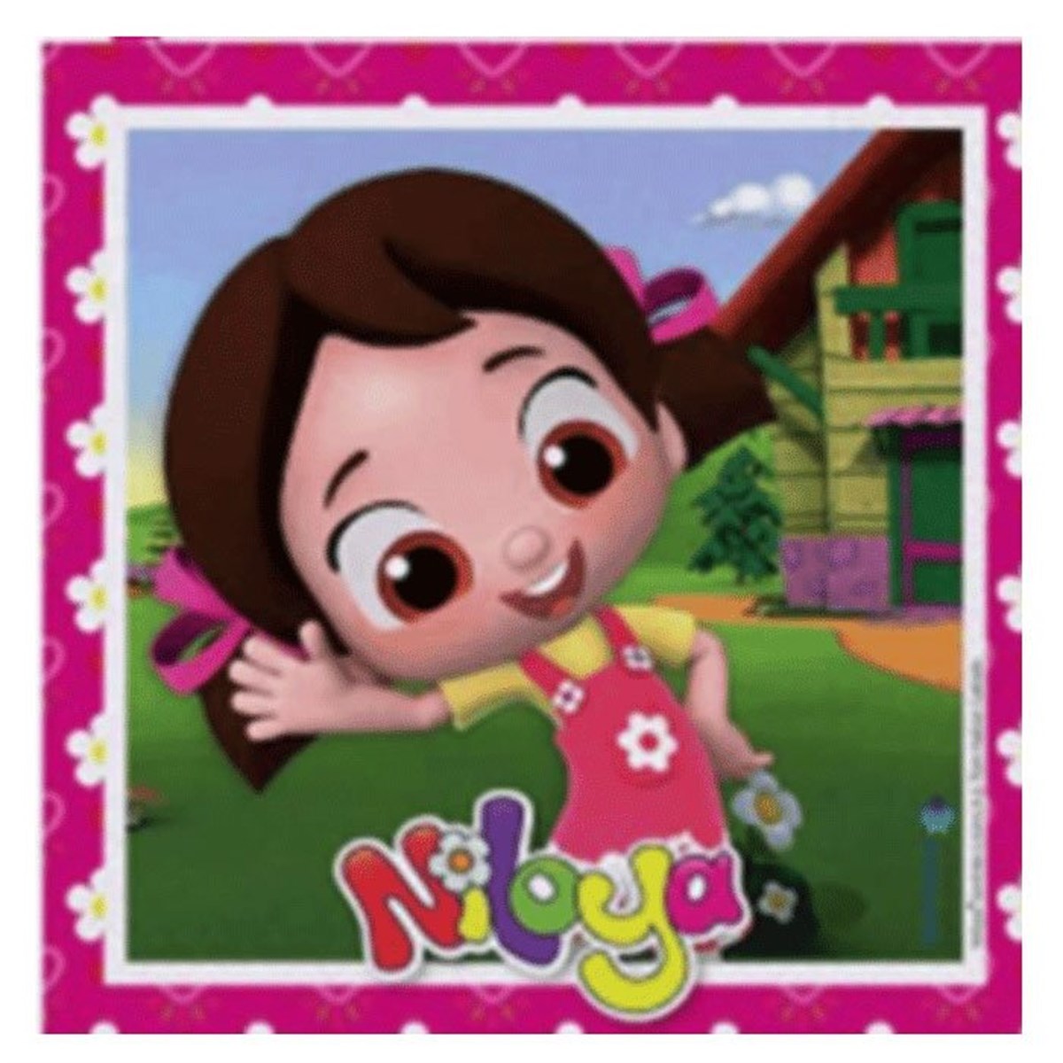 Niloya Peçete 16 Adet