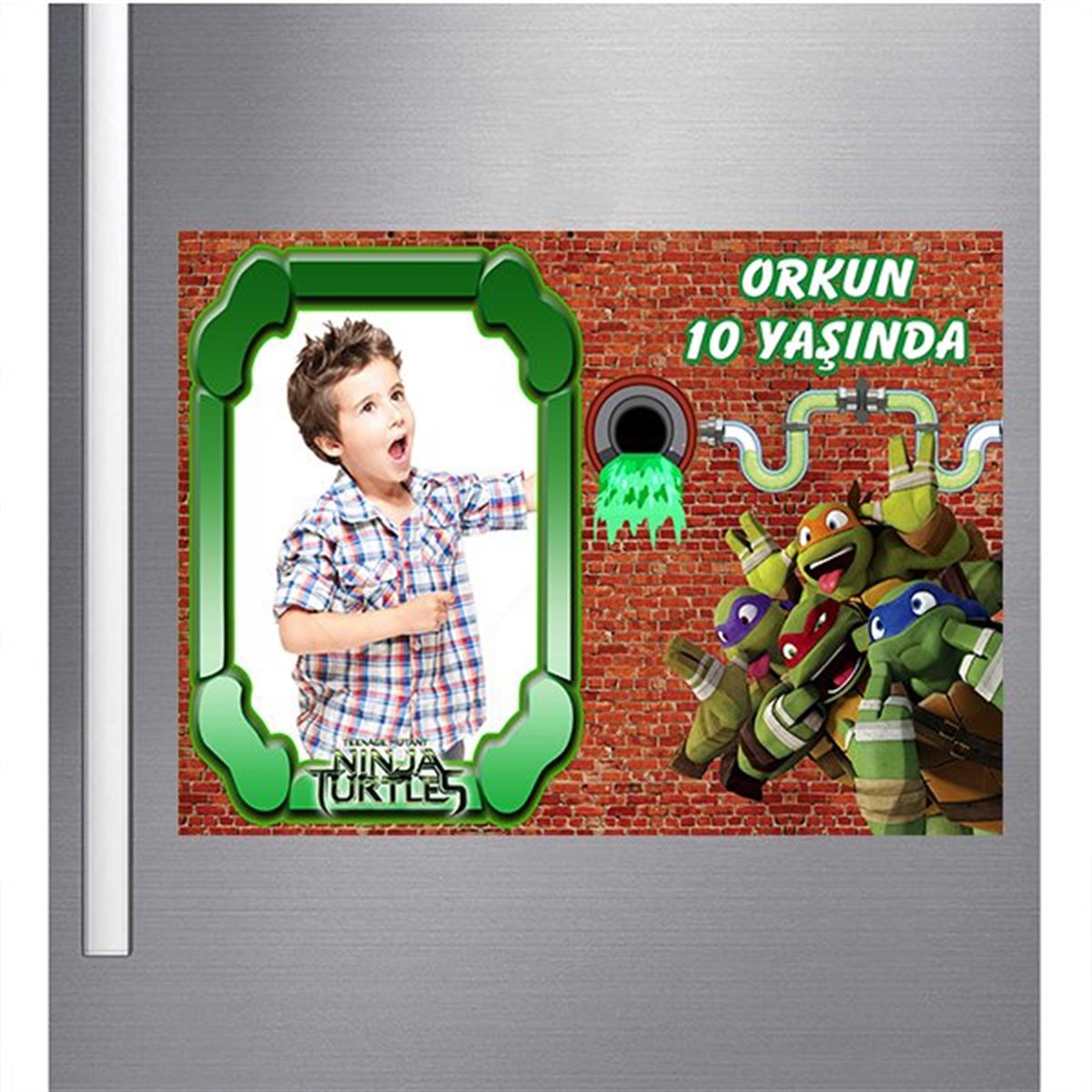 Ninja Kaplumbağalar Özel Magnet 18 Adet