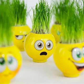 Çim Adam Küçük 6 Adet