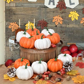 Dekoratif Balkabağı 6 Adet