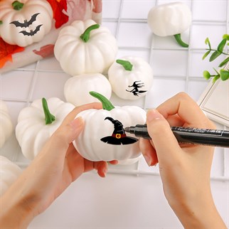 Dekoratif Balkabağı 6 Adet