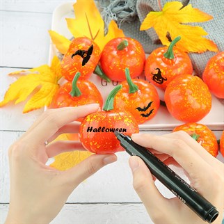 Dekoratif Balkabağı 6 Adet