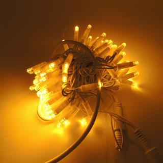 Dış Mekan 10 Mt Led Işık