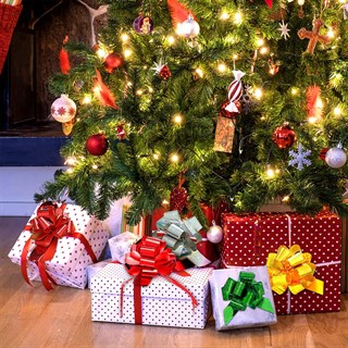 Fiyonk Süs Hediye Paketi Süsü 100 Adet