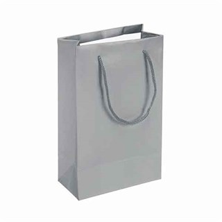 Gümüş Renkli Karton Çanta 25 Adet 11 x 16 Cm