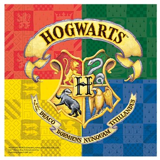 Harry Potter Peçete 20 Adet