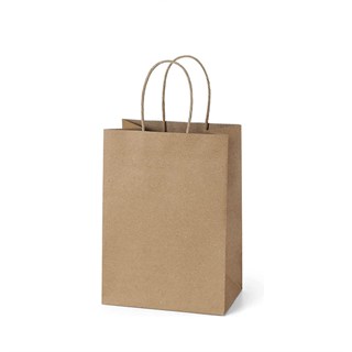 Kraft Renkli Çanta 18 x 22 Cm 25 Adet