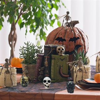 Kuru Kafalar Masa Dekoru 3 Adet