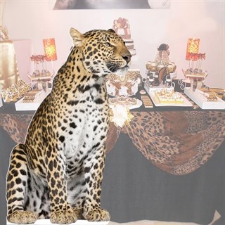 Leopar Ayaklı Pano 59 x 95 Cm