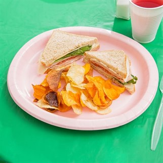 Pembe Karton Tabak  23 Cm 8 Adet