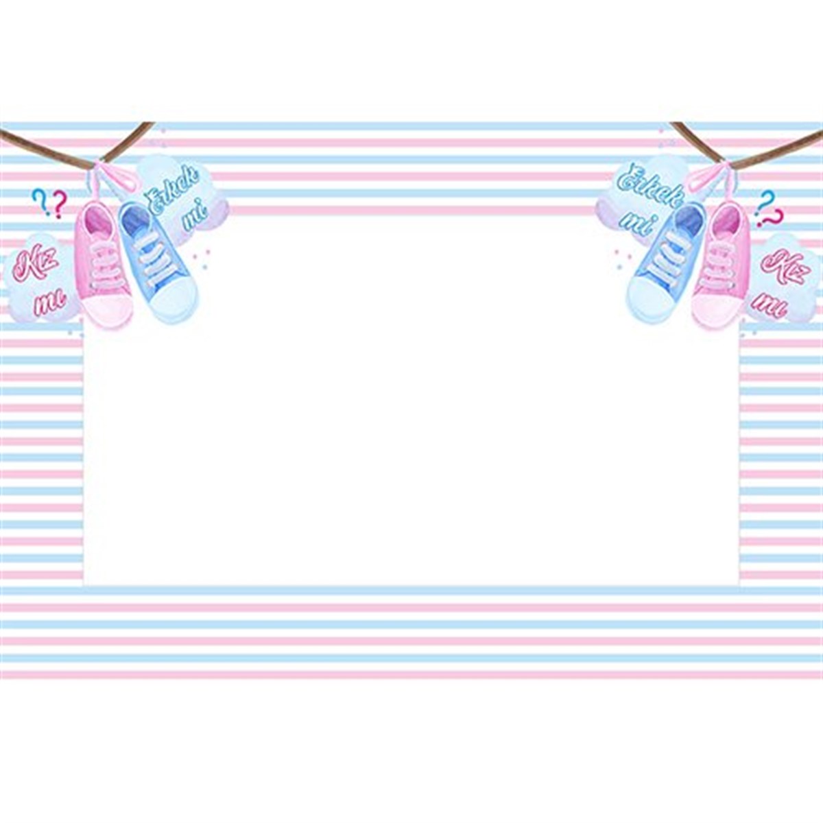 Kişiye Özel Cinsiyet Belirleme Partisi Çerçeve