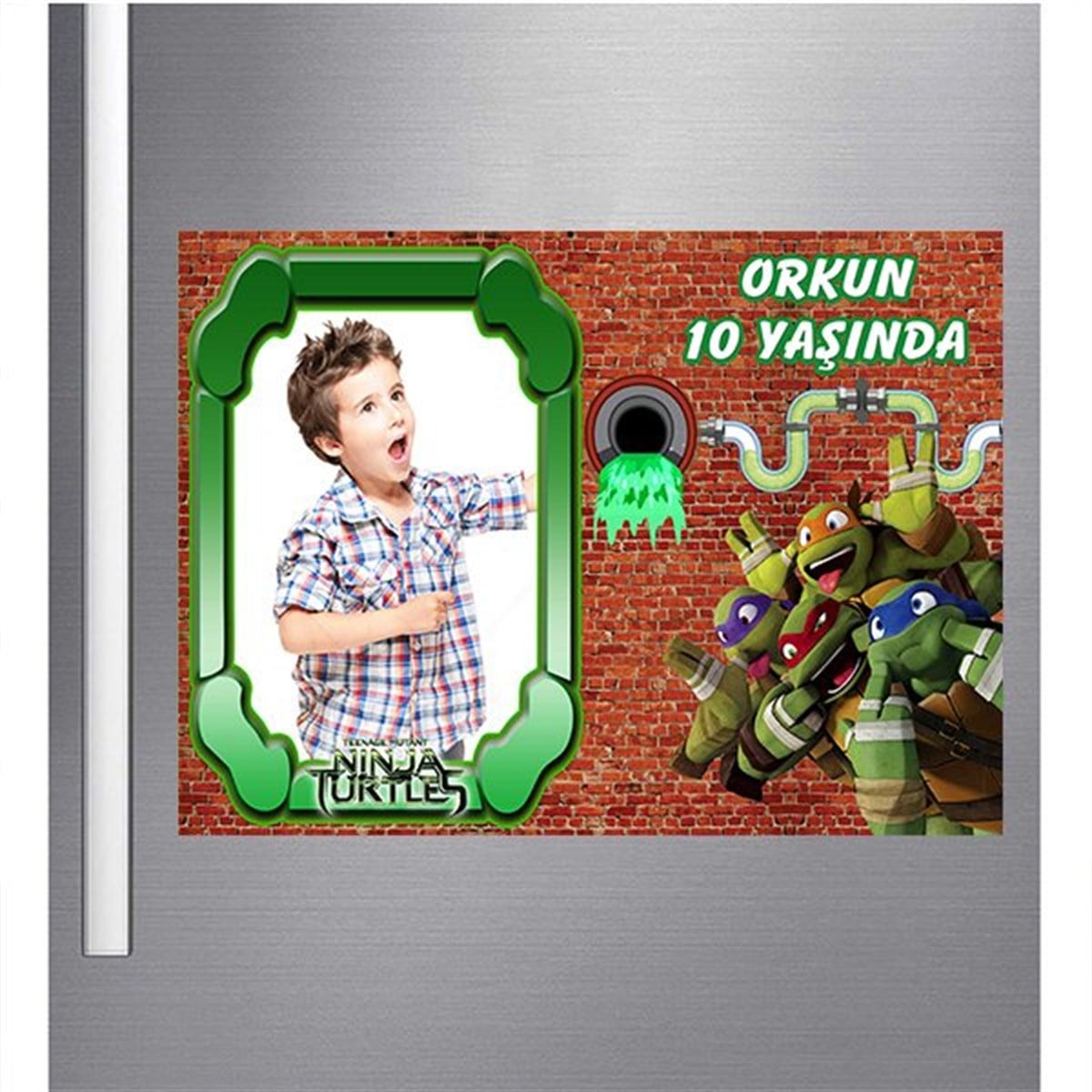 Ninja Kaplumbağalar Özel Magnet 18 Adet