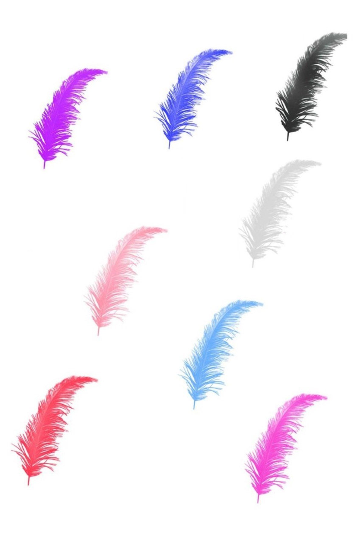 Renkli Tüy 100 Adet