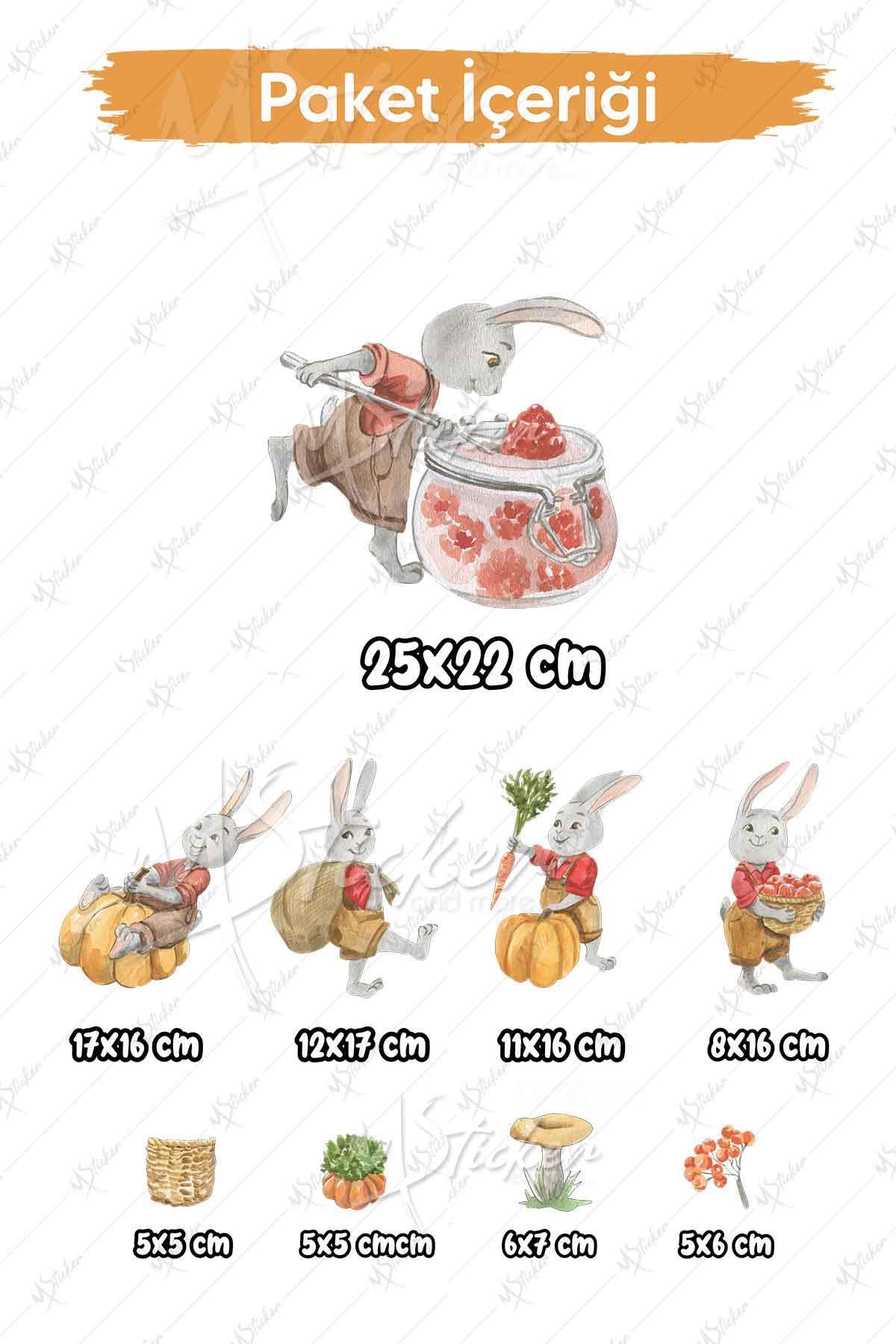 Eğlenceli Ahçı Tavşanlar Çocuk Odası Cam Duvar Sticker Seti