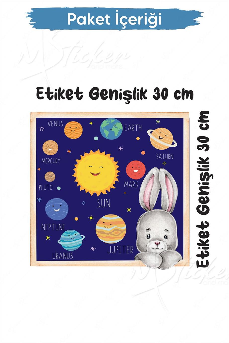 Tavşanlı Gezegen Sticker Seti 30x30 cm Cam Duvar Sticker Seti