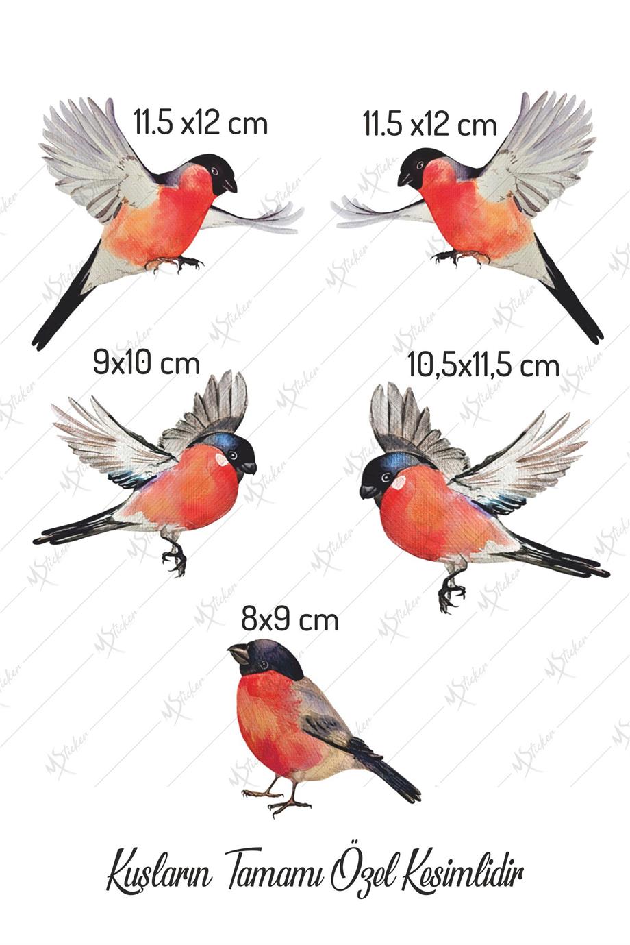 Yılbaşı Kış Kuşları Cam Duvar Sticker Seti 