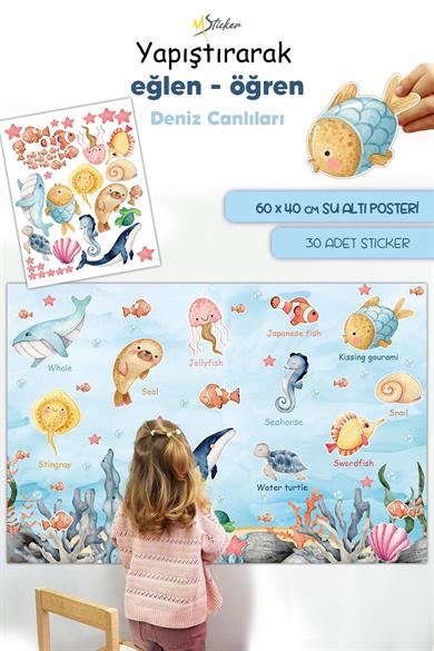 Deniz ve Okyanus Canlıları Eğitici ve Eğlenceli Sök Tak Sticker Seti, Bitmeyen Sticker Eğitici