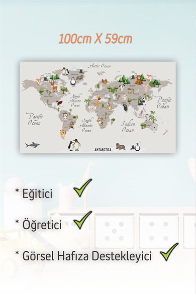 Eğitici Dünya Haritası Sticker - Çocuklar İçin Dünya Haritası