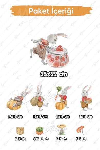 Eğlenceli Ahçı Tavşanlar Çocuk Odası Cam Duvar Sticker Seti